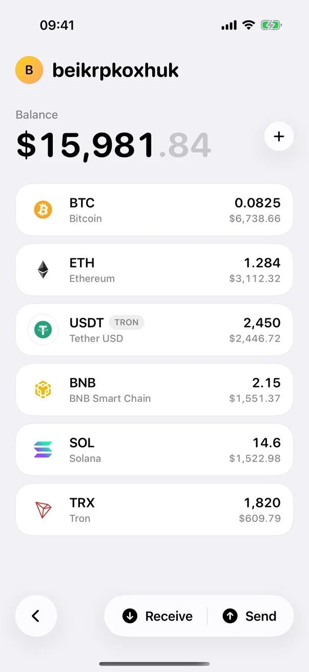 BitTool Wallet asset list