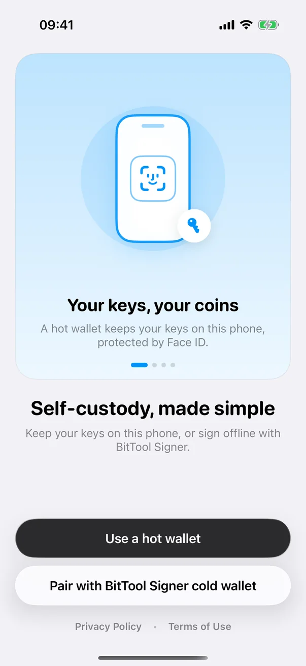 Choose a hot wallet or pair with BitTool Signer